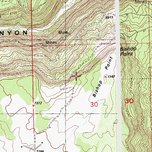 Topographic Map of Black Spider Mine, CO