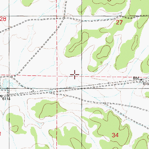 Topographic Map of Blue Stem Wash, AZ