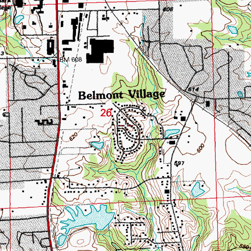 Topographic Map of Belmont Village, IL