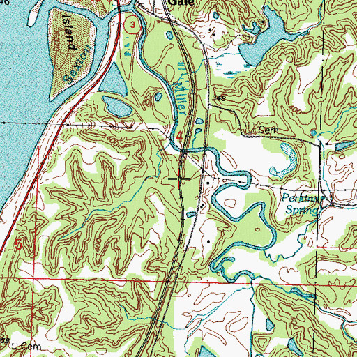 Topographic Map of North Junction, IL