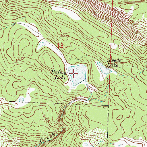 Topographic Map of Bailey Lake, CO
