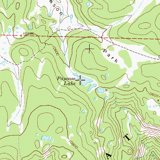 Topographic Map of Papoose Lake, CO