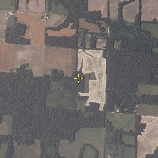 Aerial/Satellite Image of Watson Springs, IL