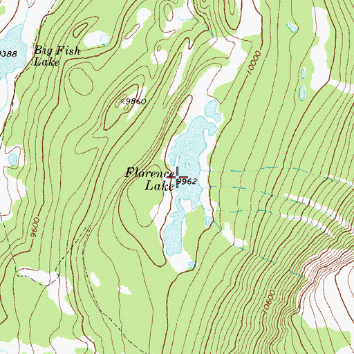 Topographic Map of Florence Lake, CO
