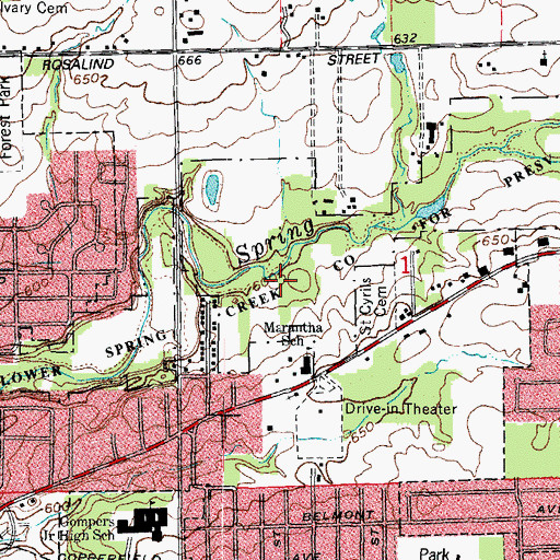 Topographic Map of Lower Spring Creek County Forest Preserve, IL