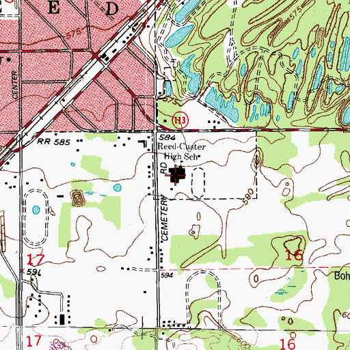 Topographic Map of Reed-Custer High School, IL