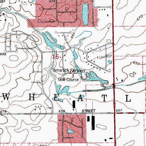 Topographic Map of Tamarack Fairways Golf Course, IL