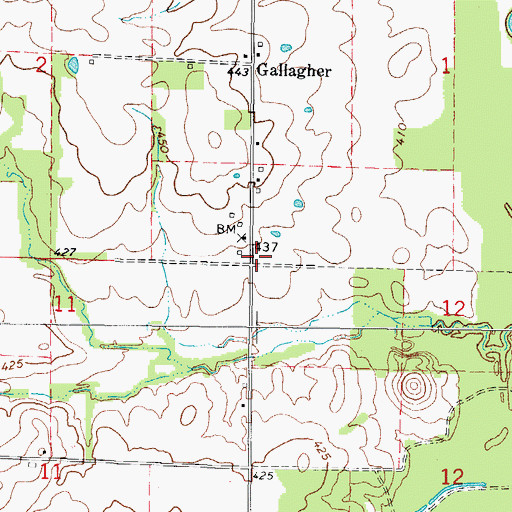 Topographic Map of Gallagher School (historical), IL