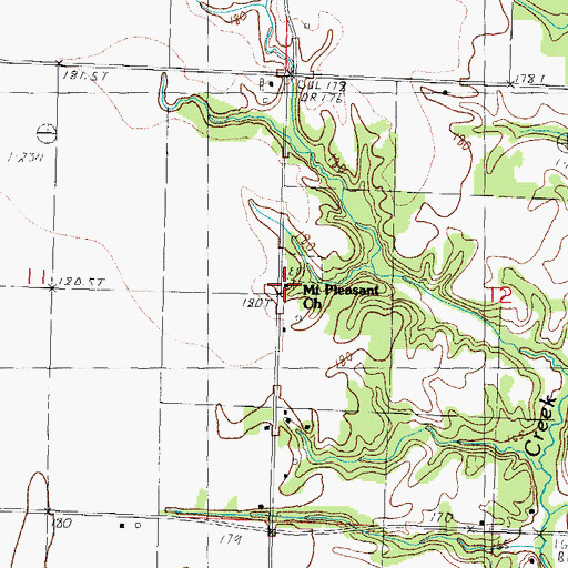 Topographic Map of Mount Pleasant Church, IL