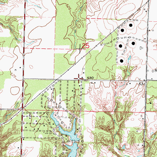 Topographic Map of Love School (historical), IL