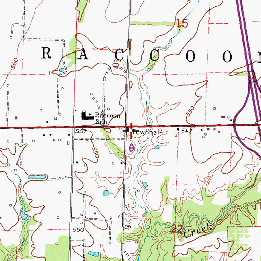 Topographic Map of Raccoon Townhall, IL