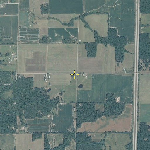 Aerial/Satellite Image of Ray School (historical), IL