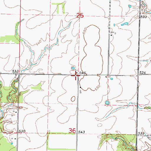Topographic Map of Red Lick School (historical), IL