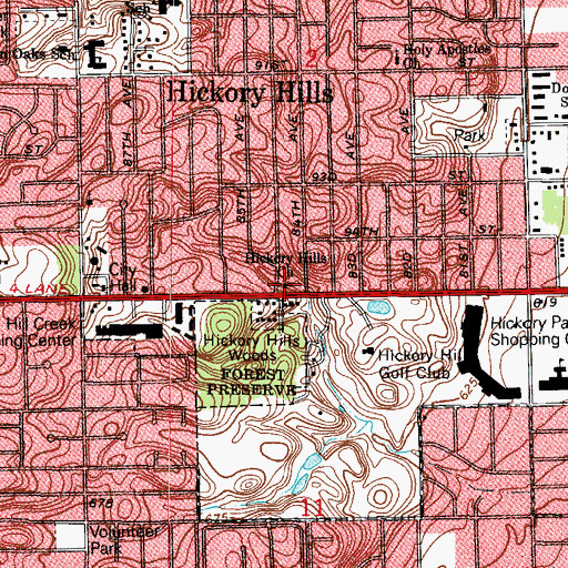 Topographic Map of Hickory Hills Church, IL