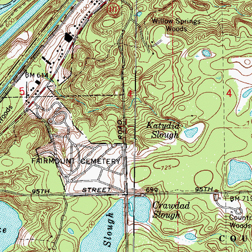 Topographic Map of Mount Forest, IL