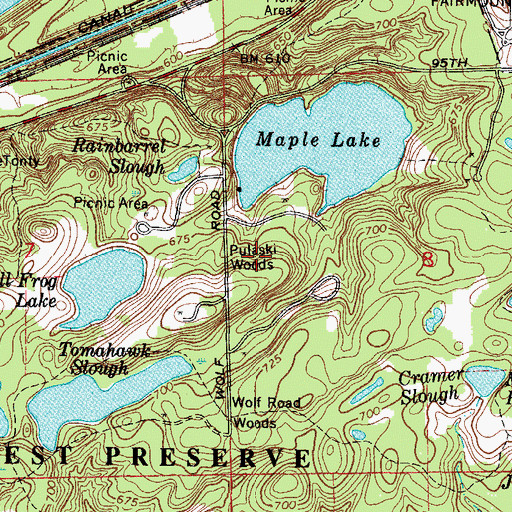 Topographic Map of Pulaski Woods, IL