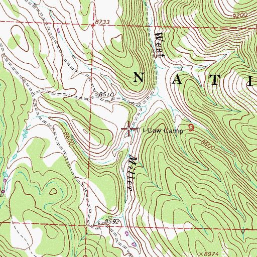 Topographic Map of T I Cow Camp, CO