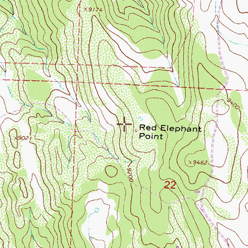 Topographic Map of Red Elephant Point, CO