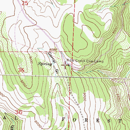 Topographic Map of Rifle Creek Cow Camp, CO