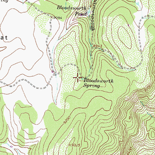 Topographic Map of Bloodsworth Spring, CO