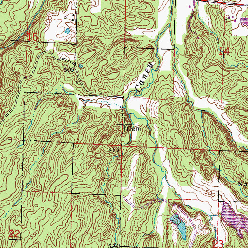 Topographic Map of Caney Branch Church (historical), IL