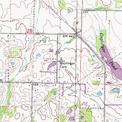 Topographic Map of Caplinger Cemetery, IL