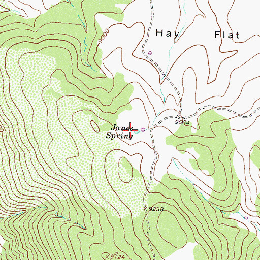 Topographic Map of Janes Spring, CO