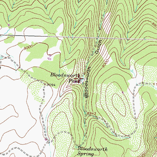 Topographic Map of Bloodsworth Pond, CO