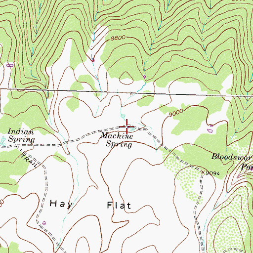 Topographic Map of Machine Spring, CO