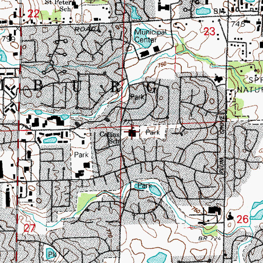 Topographic Map of Michael Collins Elementary School, IL