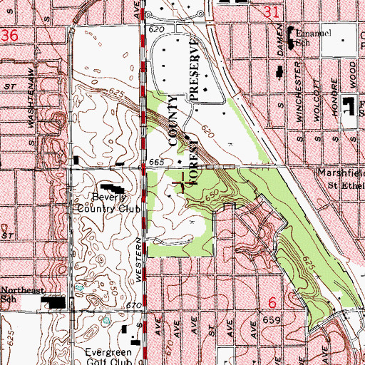 Topographic Map of Dan Ryan Woods, IL