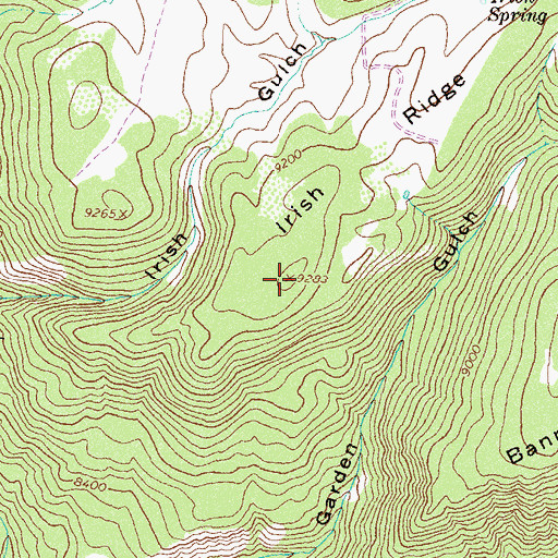 Topographic Map of Irish Ridge, CO