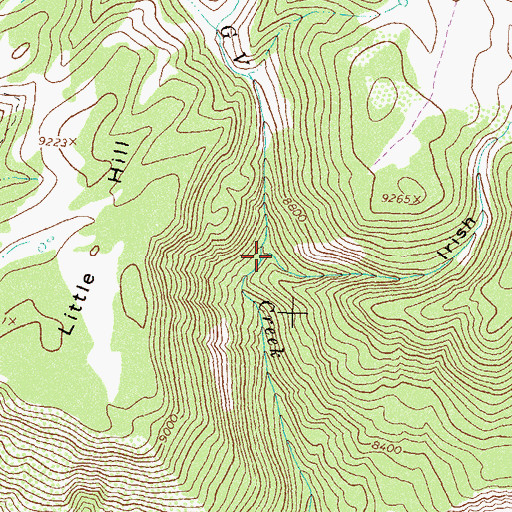 Topographic Map of Irish Gulch, CO