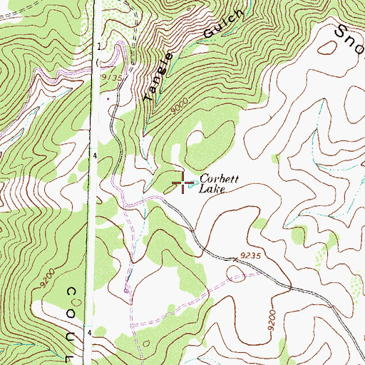 Topographic Map of Corbett Lake, CO