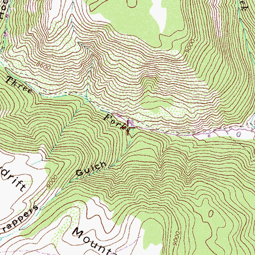 Topographic Map of Trappers Gulch, CO