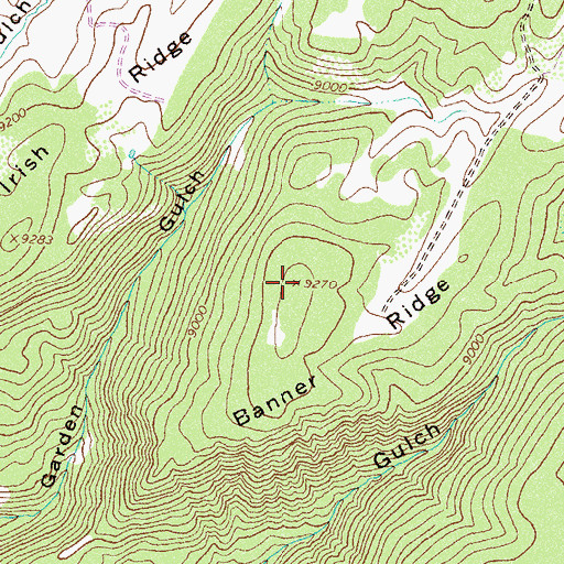 Topographic Map of Banner Ridge, CO