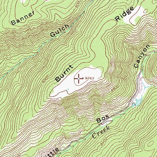 Topographic Map of Burnt Ridge, CO