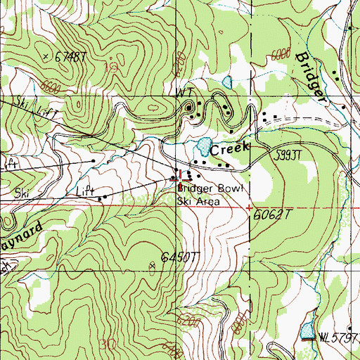 Topographic Map of Alpine Face Ski Trail, MT