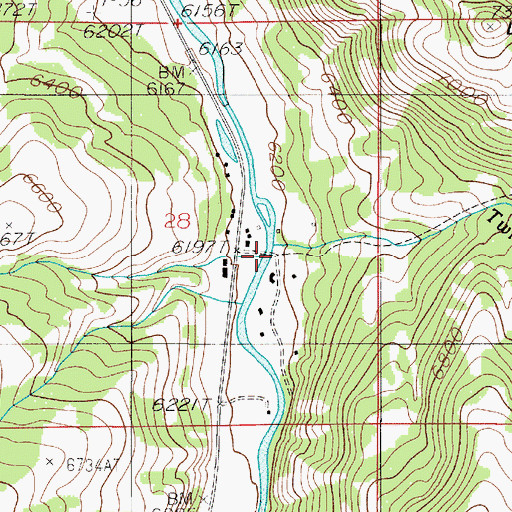 Topographic Map of Lemon Bridge, MT