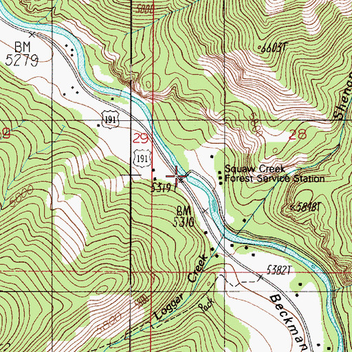 Topographic Map of Squaw Creek Bridge, MT