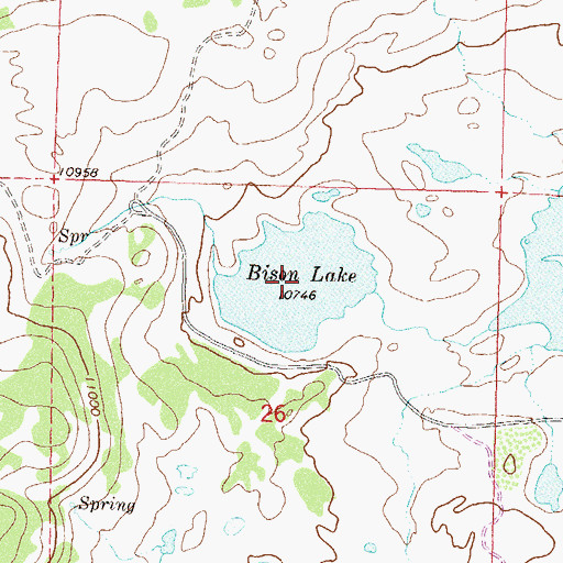 Topographic Map of Bison Lake, CO