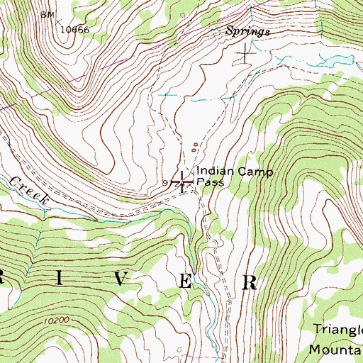 Topographic Map of Indian Camp Pass, CO