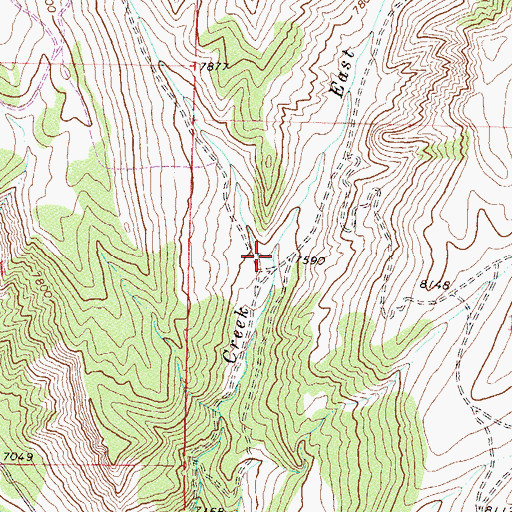 Topographic Map of East Fork Sheep Creek, CO