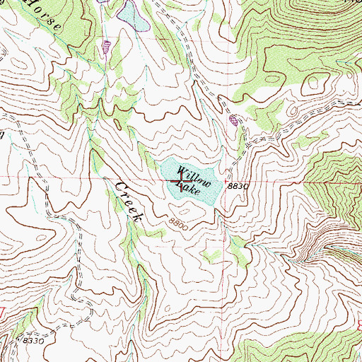 Topographic Map of Willow Lake, CO