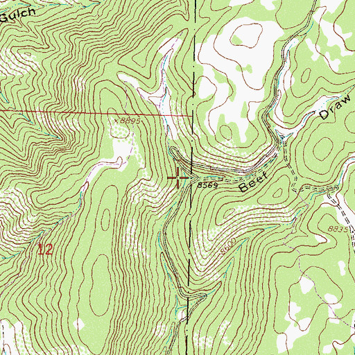 Topographic Map of Beef Draw, CO