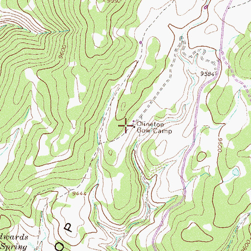 Topographic Map of Clinetop Cow Camp, CO