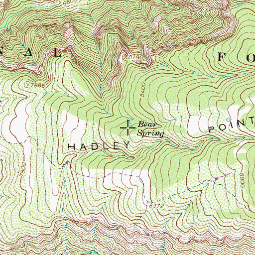 Topographic Map of Bear Spring, CO