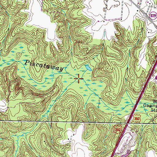Topographic Map of Harry Lane Swamp, VA
