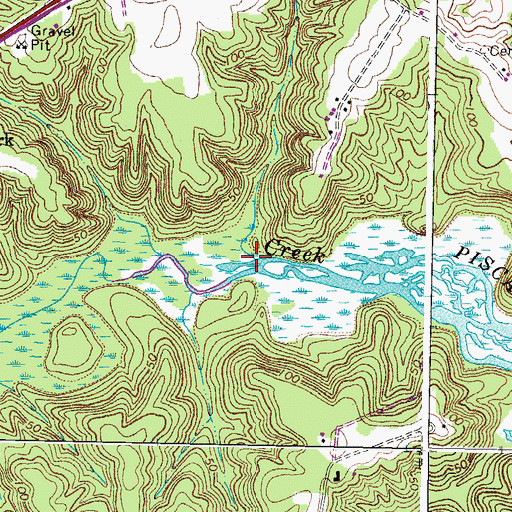 Topographic Map of Youngs Swamp, VA