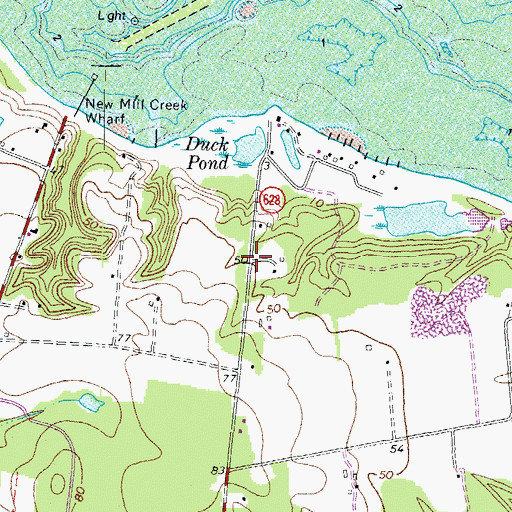 Topographic Map of Bushy, VA